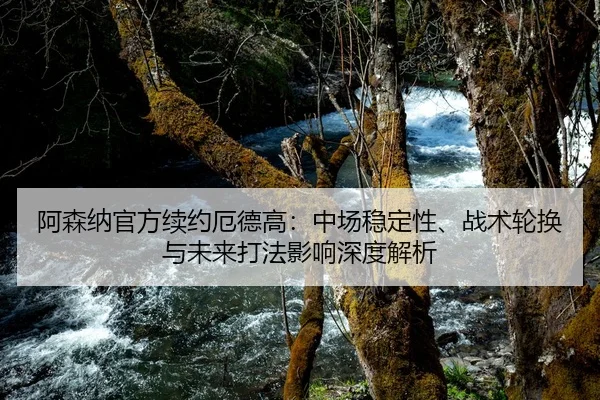 阿森纳官方续约厄德高：中场稳定性、战术轮换与未来打法影响深度解析